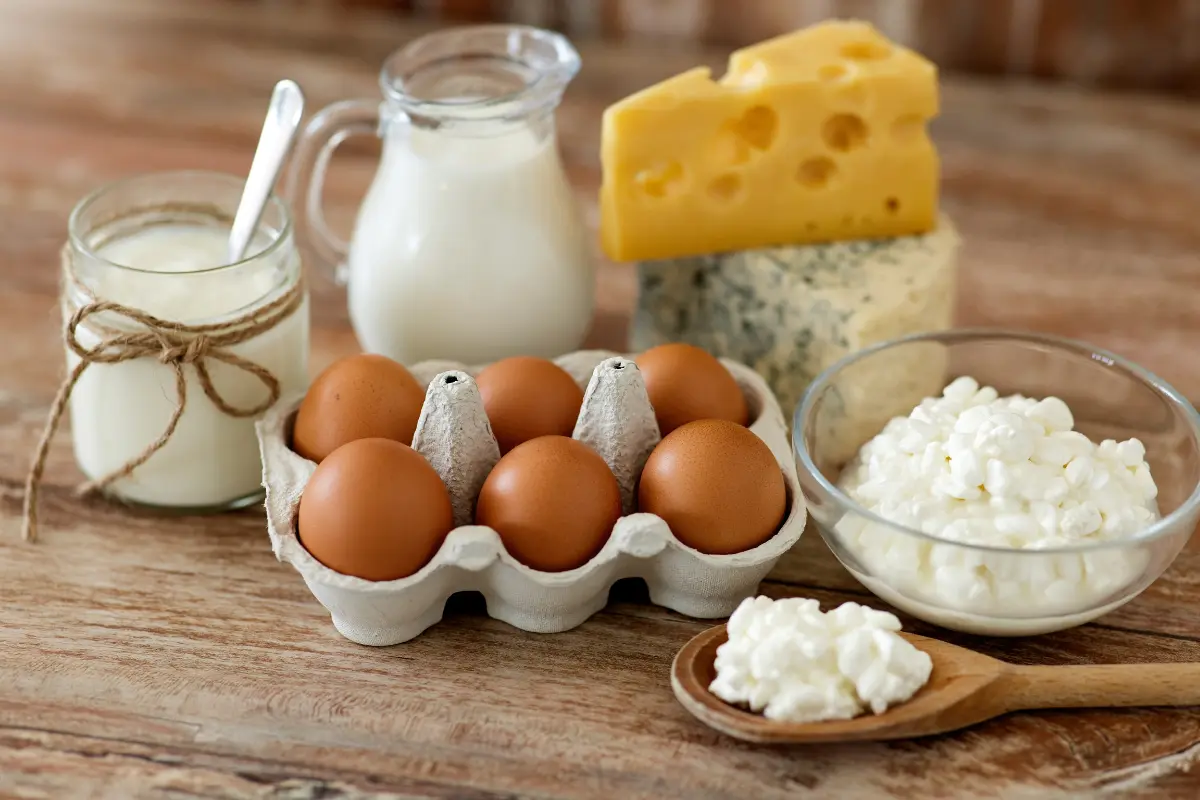 O Perigo de Exagerar nos Queijos e Creme de Leite na Low Carb! Foto: Reprodução / Canva.