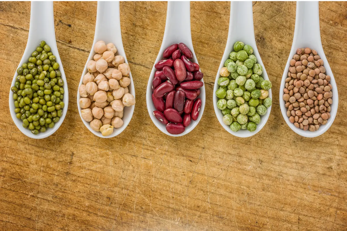 Proteína Vegetal! Feijão, lentilha e grão-de-bico são essenciais para uma dieta vegana equilibrada. Foto: Reprodução / Canva Pro.